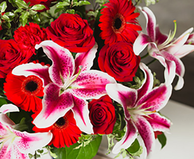 Save 25% on Teleflora Flowers and Gift Baskets for Valentine's Day 