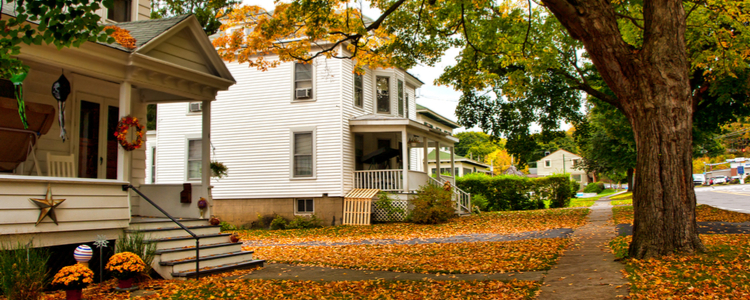 Home in the fall